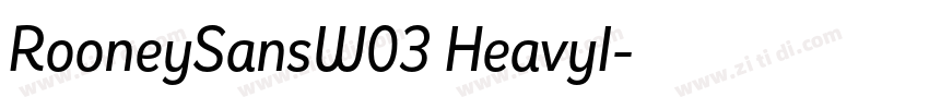 RooneySansW03 HeavyI字体转换